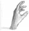 Studie der Hand